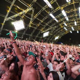Music Fans Unite at Coachella
