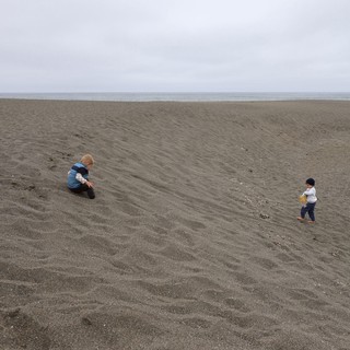 Two Young Children Exploring a Vast Sandy Beach
