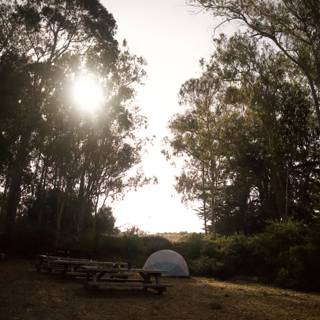 Embracing the Wilderness: First Camping Adventure in Presidio