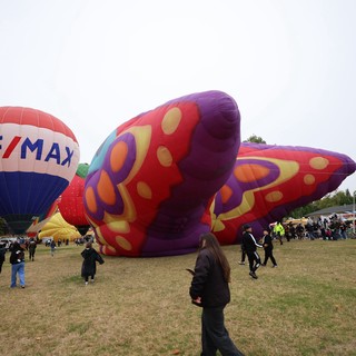 Colorful Hot Air Balloons at Sonoma County Classic