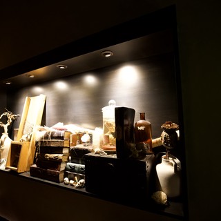 Cabinet of Curiosities: Illuminated Museum Display