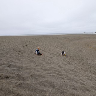 Two Young Children Playing on a Vast Sandy Beach