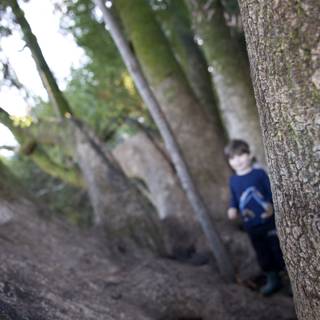 Exploring the Woodland Realm