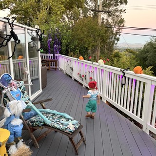 Toddler Exploring Misty Deck on Autumn Morning