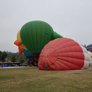 Hot Air Balloons Inflating at Sonoma County Classic