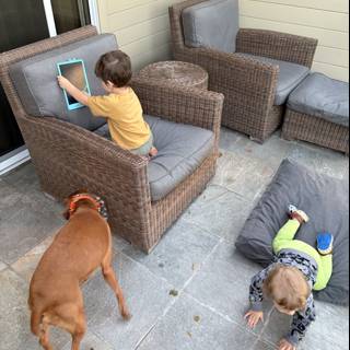 Afternoon Playtime in Carmel