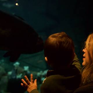 Marveling at Sea Life: A Mother and Child Experience