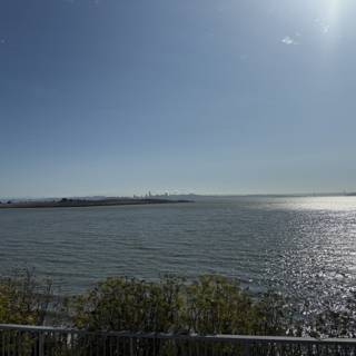 Tranquil Waters of Berkeley