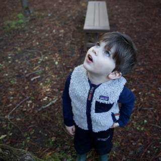 Wonder in the Woods