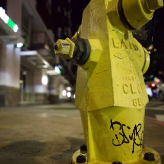 Urban Charm: Graffitied Hydrant