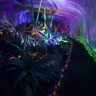 Enchanted Nights in the Garden of D'Lights