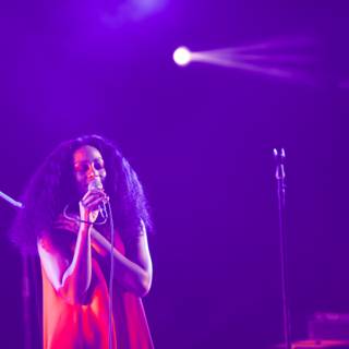 Solange Lights Up FYF Fest with Musical Magic