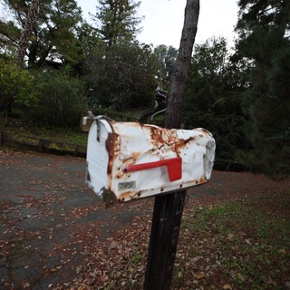 Weathered Rusty Mailbox on Rural Woodland Road