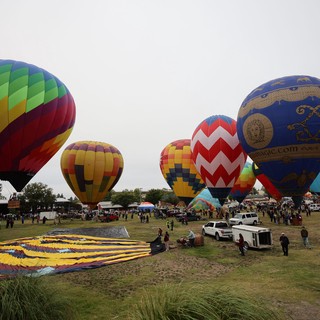 Colorful Hot Air Balloons Launch at Sonoma County Classic