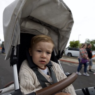 Toddler in Stroller at Outdoor Public Event