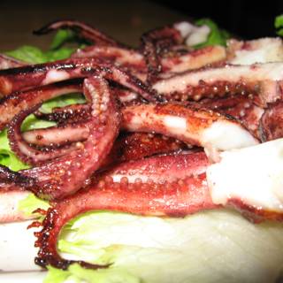 Delicious Octopus Plate