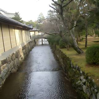 A Serene Ditch in the Heart of Kyoto