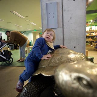 Child Climbing Bronze Turtle Sculpture in Museum