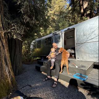 Serene Morning in the Redwoods