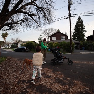 Suburban Evening Walk with Family and Dog