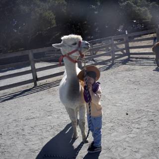 A Day at the Ranch