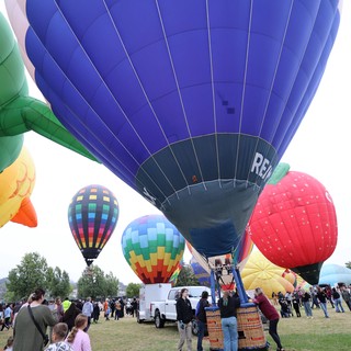 Colorful Hot Air Balloons Launch at Sonoma County Classic