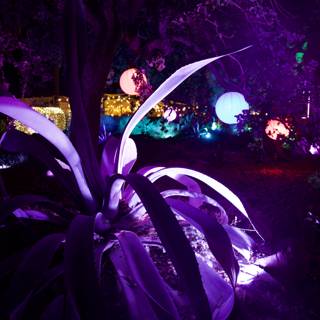 Enchanted Evening in Purple