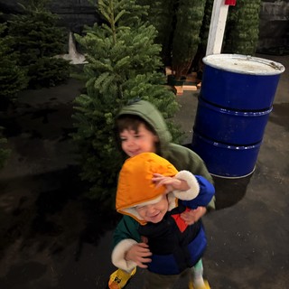Brothers Picking Out Christmas Tree at Winter Market