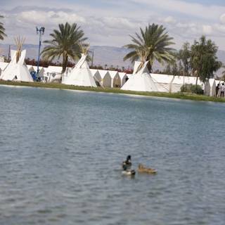 Summer Duck at Coachella