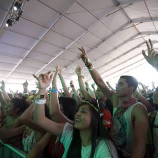 Crowd Celebrating at Coachella Music Festival