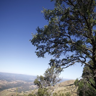 state-park-mountain-hiking-trail