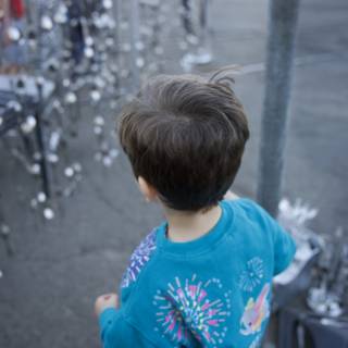 Wonder at the Fountain