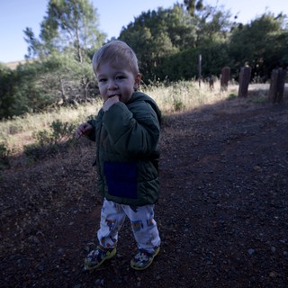 Toddler Exploring Juniper Canyon Trail at Mt. Diablo