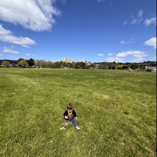 Playful Moments in the Park