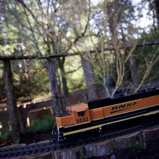 Nature’s Railway