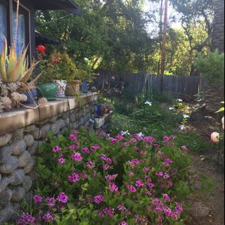 A Tranquil Backyard Garden Oasis