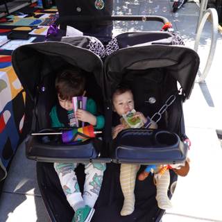 Stroller Adventures