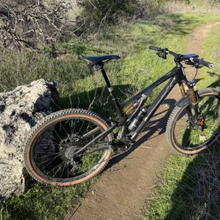 Trail Companion at Lime Ridge