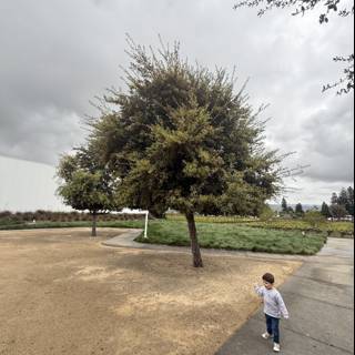 Stroll in the Overcast Park