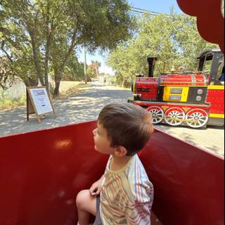 Summer Train Adventure