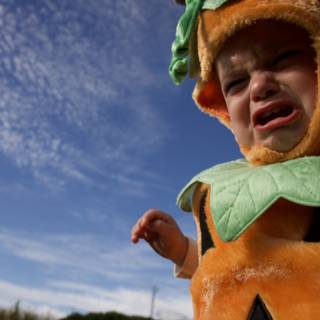 Pumpkin-Head Baby Charms at Halfmoon Bay
