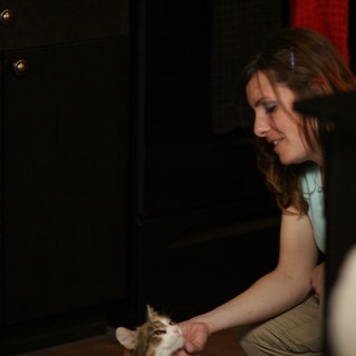 Woman Gently Playing With a Tiny Kitten Indoors