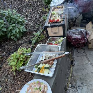 Summer BBQ Extravaganza
