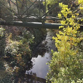 Autumn Bridge Reflection Over Creek in Urban Park