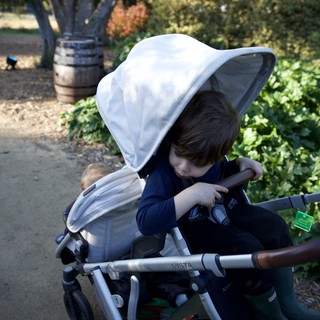 Botanical garden or public park
