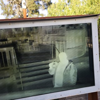 Reflected Visitor in Museum Display Glass