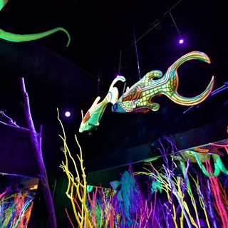 Illuminated Sea Creature at Meow Wolf Installation