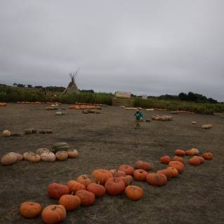 Harvest Day at Walnut Creek