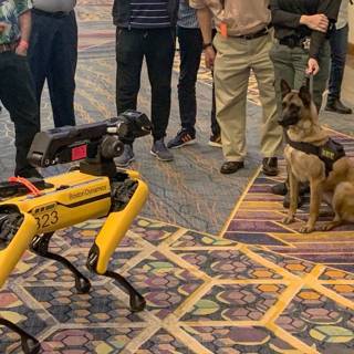 Man, Dog, and Robot in Las Vegas