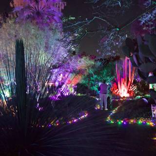 Enchanted Evening at Ruth Bancroft Garden